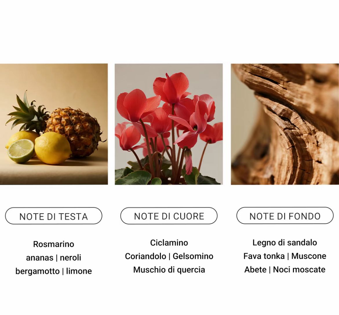 Perfume Elegante per Uomini